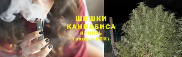 трава Арсеньев